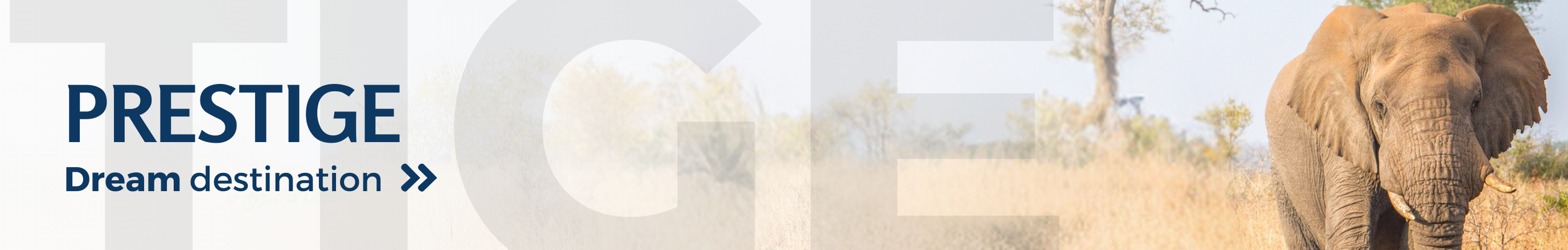 Discover all our exclusive travel packages and cruises.